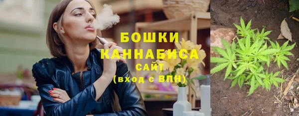 крисы Баксан