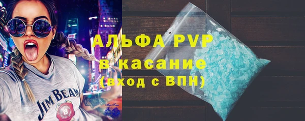 крисы Баксан