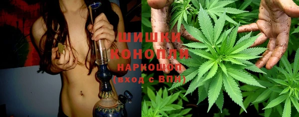крисы Балахна