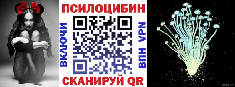 Псилоцибиновые грибы прущие грибы  как найти наркотики  Кодинск 